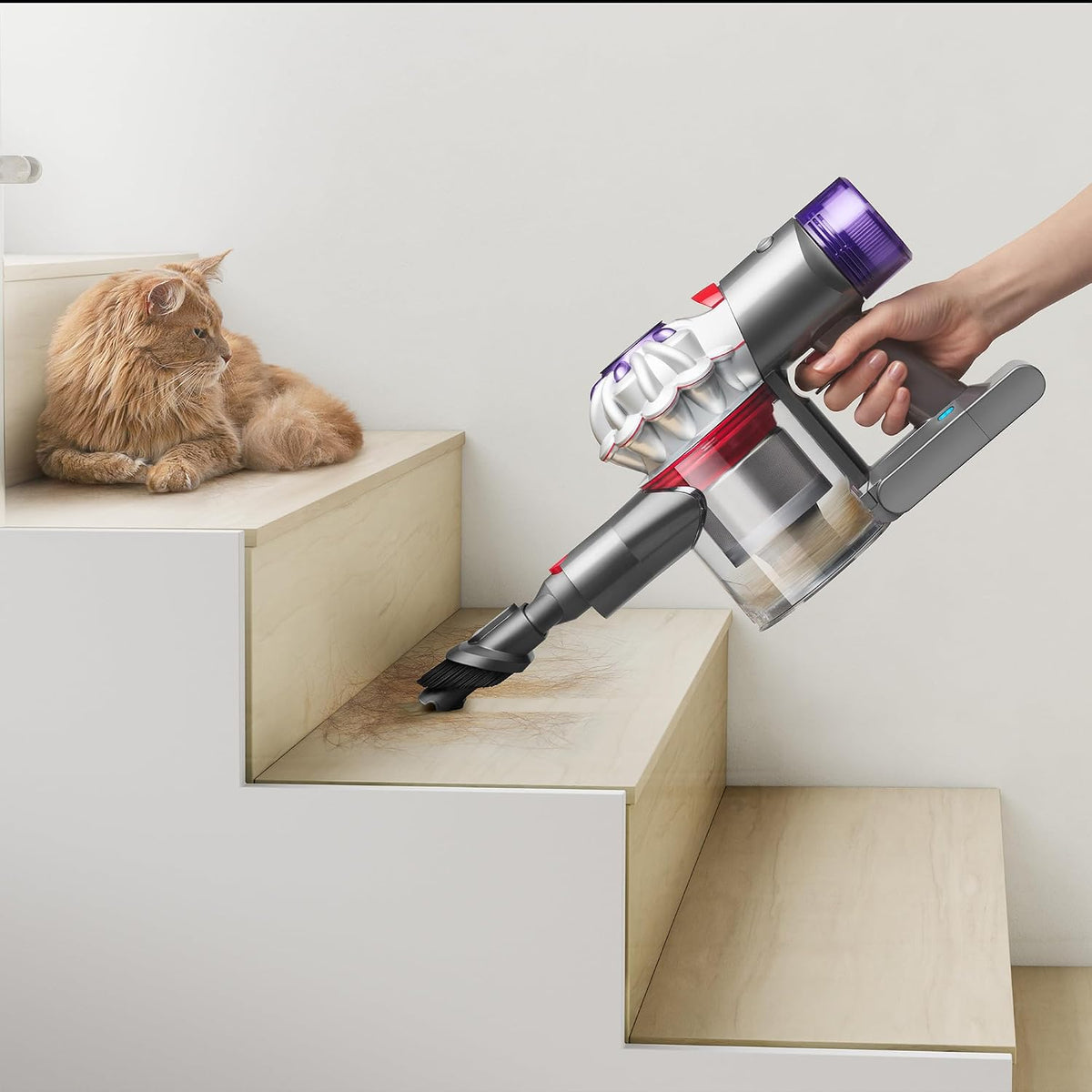 Dyson V8 ABSOLUTE