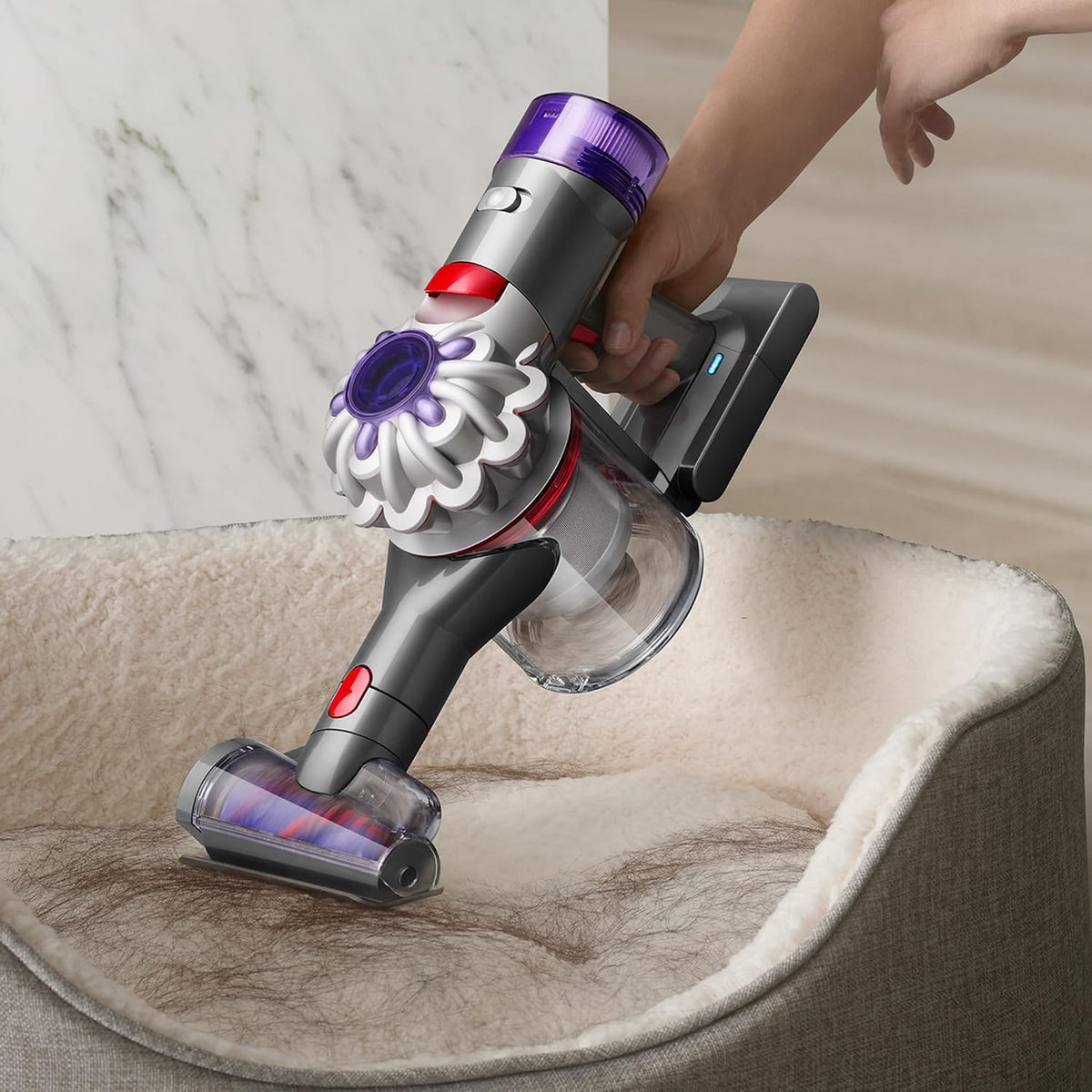 Dyson V8 ABSOLUTE