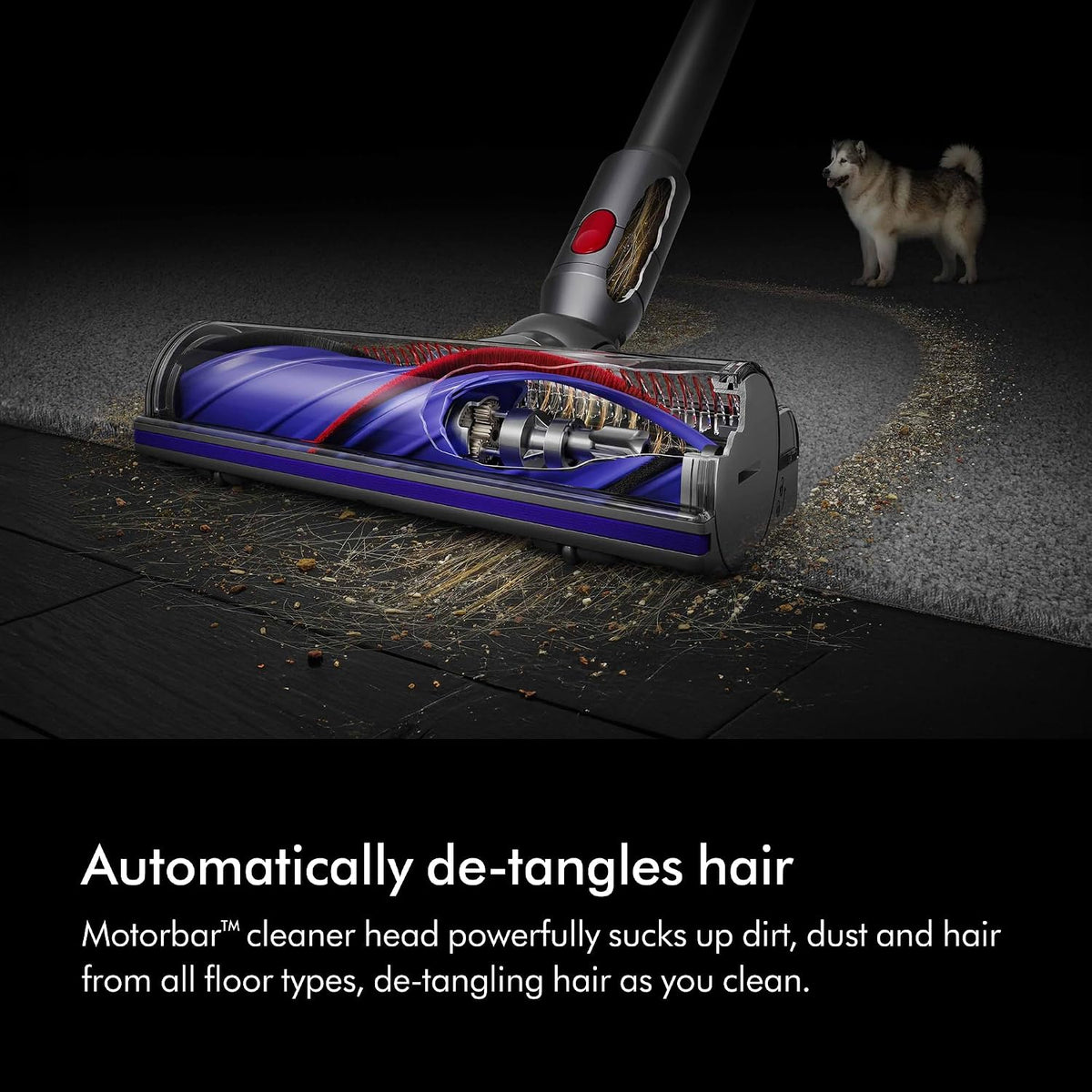 Dyson V8 Advance