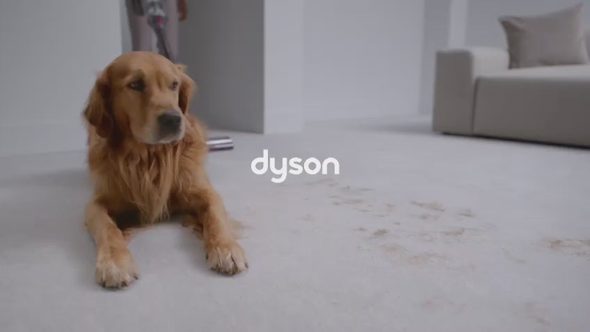 Dyson V15s detect absolute